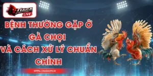 Bệnh Thường Gặp Ở Gà Chọi Và Cách Xử Lý Chuẩn Chỉnh