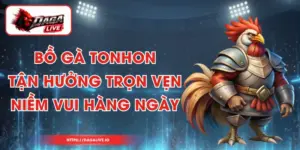 Bồ Gà Tonhon - Tận Hưởng Trọn Vẹn Niềm Vui Hàng Ngày