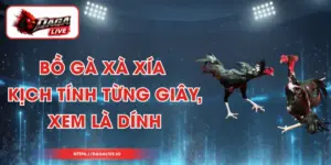 Bồ Gà Xà Xía - Kịch Tính Từng Giây, Xem Là Dính