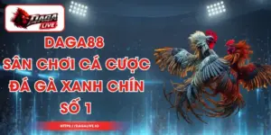 DAGA88 - Sân Chơi Cá Cược Đá Gà Xanh Chín Số 1