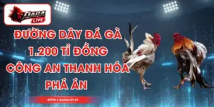 Đường Dây Đá Gà 1.200 Tỉ Đồng - Công An Thanh Hóa Phá Án