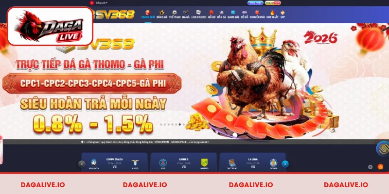 Giới thiệu về nhà cái đá gà SV368