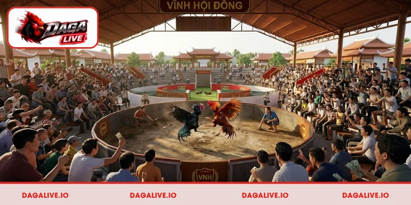 Khái quát đôi nét về bồ gà Vĩnh Hội Đông