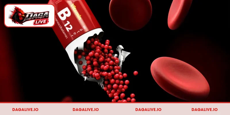 Lưu ý cần nắm khi sử dụng vitamin B12 cho chiến kê