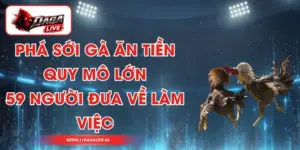 Phá Sới Gà Ăn Tiền Quy Mô Lớn, 59 Người Đưa Về Làm Việc