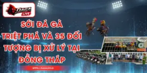 Sới Đá Gà: Triệt Phá Và 35 Đối Tượng Bị Xử Lý Tại Đồng Tháp