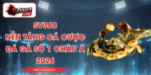 SV368 – Nền Tảng Cá Cược Đá Gà Số 1 Châu Á 2026