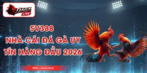 SV388 - Nhà Cái Đá Gà Uy Tín Hàng Đầu 2026