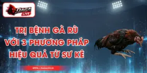 Trị Bệnh Gà Rù Với 3 Phương Pháp Hiệu Quả Từ Sư Kê