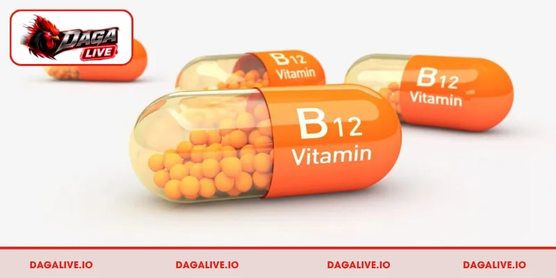 Vitamin B12 có tác dụng gì cho gà – tạo máu, ăn tốt và tăng cân