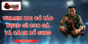 Vitamin B12 Có Tác Dụng Gì Cho Gà Và Cách bổ Sung
