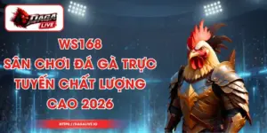 WS168 – Sân Chơi Đá Gà Trực Tuyến Chất Lượng Cao 2026
